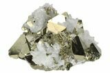 Octahedral Pyrite Crystal Cluster with Quartz - Peru #173498-1